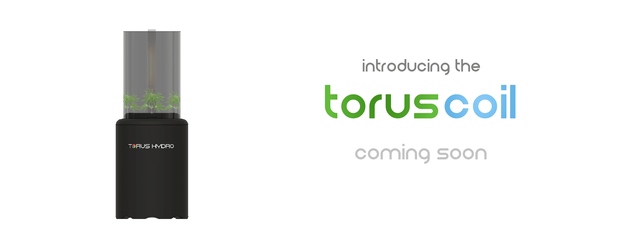 torus_coil