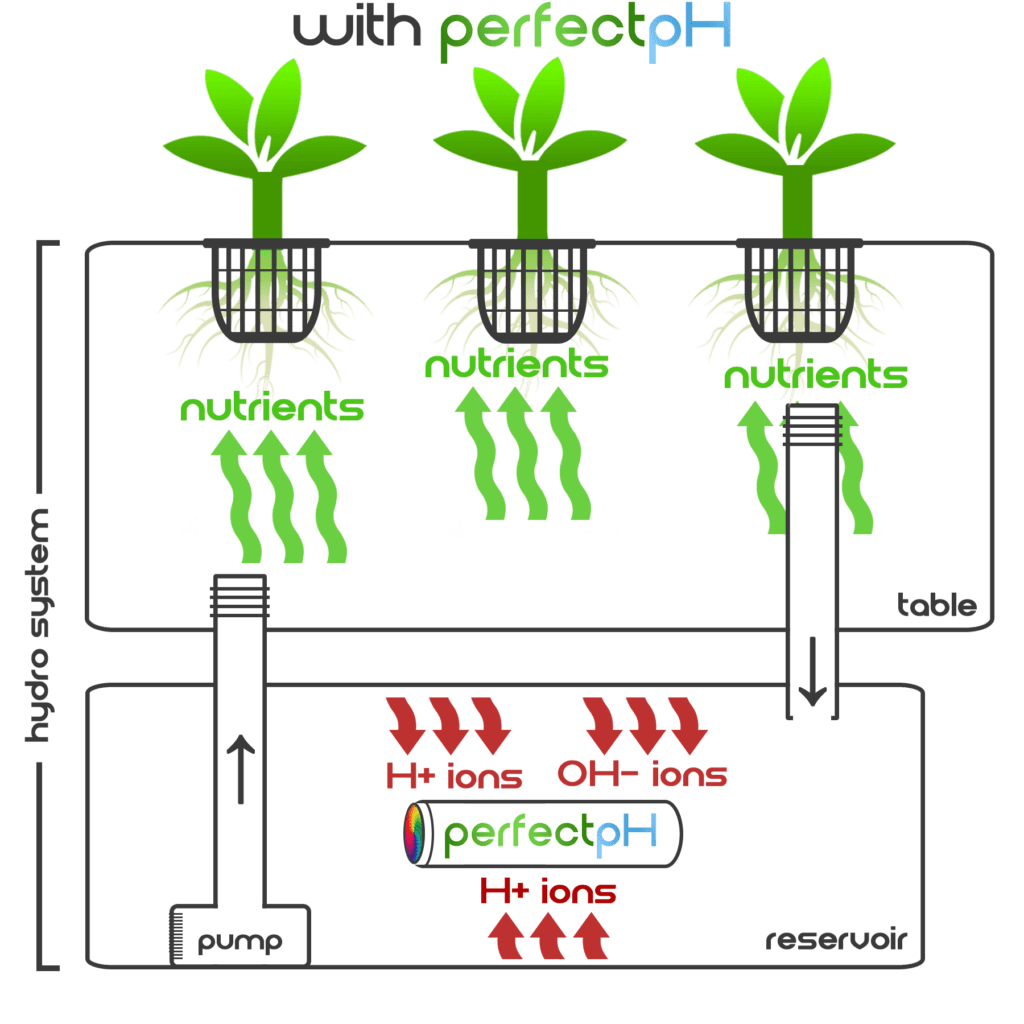 ion chart w pph ion chart w pph